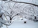 12-02-2010 09h13 18